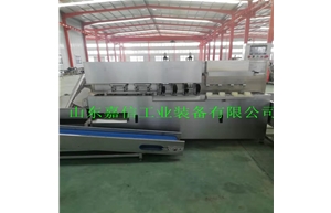 水果全自動（dòng）去皮去核機